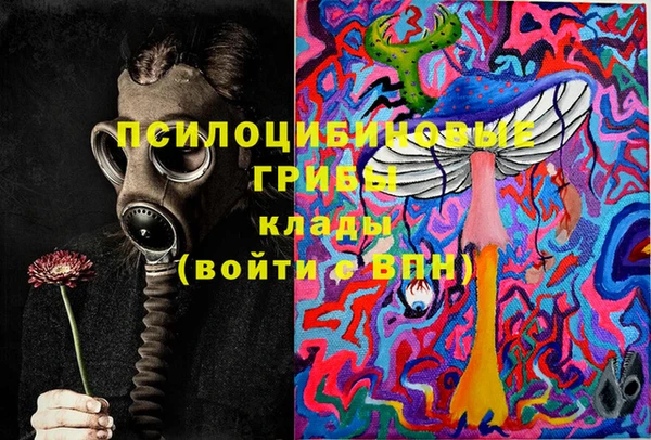крисы Алзамай