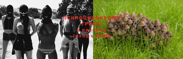 гашик Пестово