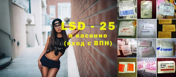 крисы Алзамай