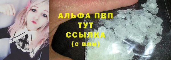 винт Алексин